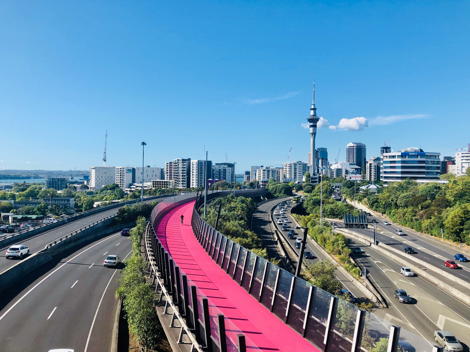 Auckland skyline and Sky Tower